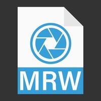 diseño plano moderno del icono de archivo mrw para web vector