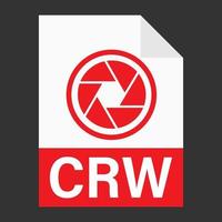 diseño plano moderno de icono de archivo crw para web vector