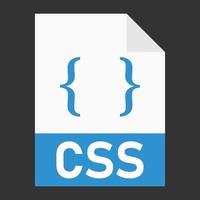 Modern flat design of CSS file icon for web vector