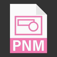 diseño plano moderno del icono de archivo pnm para web vector