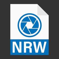 diseño plano moderno del icono de archivo nrw para web vector