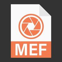 diseño plano moderno del icono de archivo mef para web vector