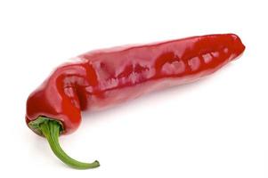 red chili pepper photo
