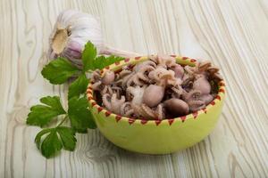 Boiled octopus in a bowl on wooden background photo