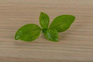 Basil leaves on wooden background photo