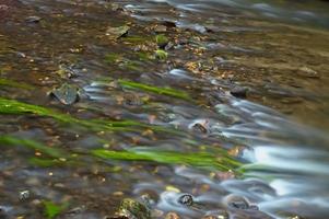 agua que fluye en el arroyo foto