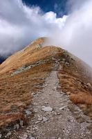 mountains of Slovakia photo