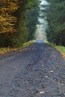 Lonely autumn path photo