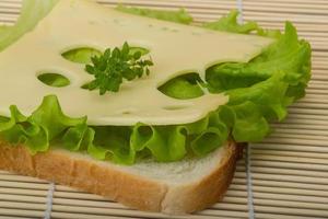 Maasdam cheese sandwich photo