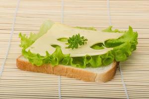 Maasdam cheese sandwich photo