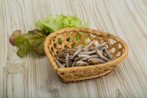 Dries anchovy in a basket on wooden background photo