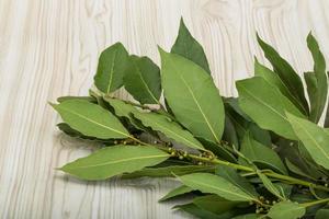 hojas de laurel sobre fondo de madera foto