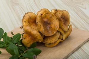 Armillaria on wooden board and wooden background photo