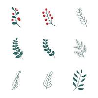 Christmas floral set. Christmas floral decorative elements, leaves, flowers, herbs and branches botanical vector