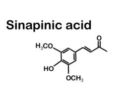 El ácido sinápico es un ácido carboxílico aromático monobásico de origen natural. Estructura química del ácido sinápico. ilustración vectorial vector