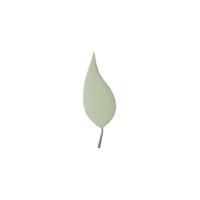 3D Isolated Small Leaves png