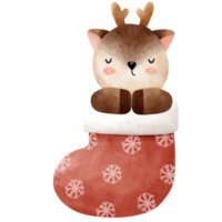 Christmas Reindeer in Sock png