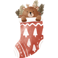 acquerello Natale calzino png