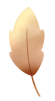 aquarela de folhas de outono png