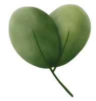 gröna blad akvarell png