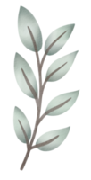 acuarela de hojas verdes png