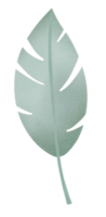 acuarela de hojas verdes png