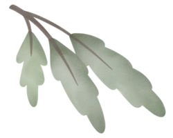 acuarela de hojas verdes png