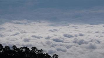 aereo Visualizza di mare di nebbia su tropicale montagne nel il presto mattina. strati di montagne nel Tailandia. paesaggio di natura sfondo nel movimento. video