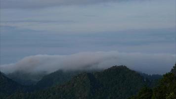 antenne visie van zee van mist Aan tropisch bergen in de vroeg ochtend. lagen van bergen in Thailand. landschap van natuur achtergrond in beweging. video