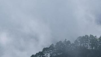 vista aérea del mar de niebla en las montañas tropicales temprano en la mañana. capas de montañas en tailandia. paisaje de fondo de la naturaleza en movimiento. video