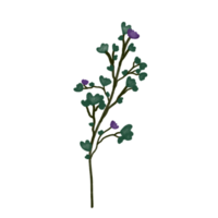 hoja mínima con decoración floral púrpura acuarela clipart png