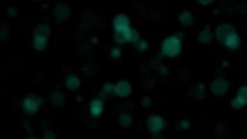 blå bokeh bubbla partiklar flytande på svart bakgrund video