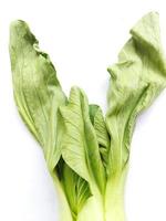Mustard greens or Pakcoy leaves look wilted because they are cold and moist ready to be cooked, on a white background photo