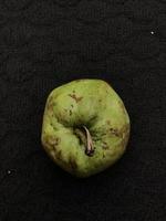 Guava or Jambu Klutuk on a dark background photo
