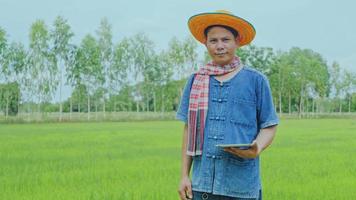 un agricultor asiático examina los campos de arroz en los campos. video