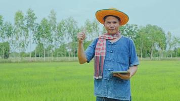 een Aziatische boer onderzoekt de rijstvelden in de velden. video