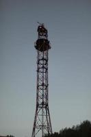 Antena de transmisión de señal alta. Torre de señal. torre de radio contra el cielo. foto