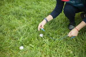 Playing on green grass. Game of steel balls. Sports competition for points. photo