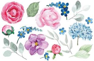 watercolor drawing, set of peony flowers, hydrangeas, forget-me-nots, magnolias, roses and eucalyptus leaves. pink and blue flowers on a white background. delicate drawing. vector
