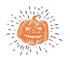 Halloween pumpkins set. Hand drawn illustration. vector