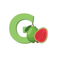 Letter G Alphabet Fruits Guava, Clip Art Vector, Illustration Isolated on a white background vector