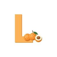 letra l alfabeto frutas longan, vector de imágenes prediseñadas, ilustración aislada en un fondo blanco