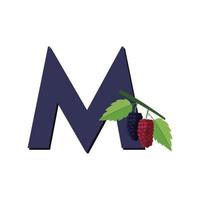 Letter M Alphabet Fruits Mulberry, Clip Art Vector, Illustration Isolated on a white background vector