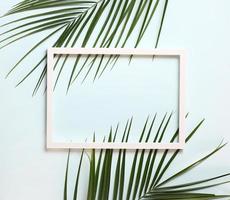 Nature composition  made of palm leaves on pastel blue background , copy space , top view photo