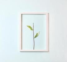 Save the earth concept - stalk with few leaves on pastel blue background photo