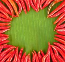 Red hot chilli arrange as circle on banana leaf photo