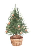 Watercolor illustration of Christmas tree. png