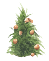 ilustración acuarela del árbol de navidad. png