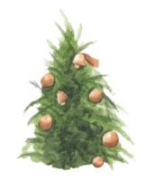 Watercolor illustration of Christmas tree. png