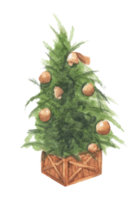 Watercolor illustration of Christmas tree. png